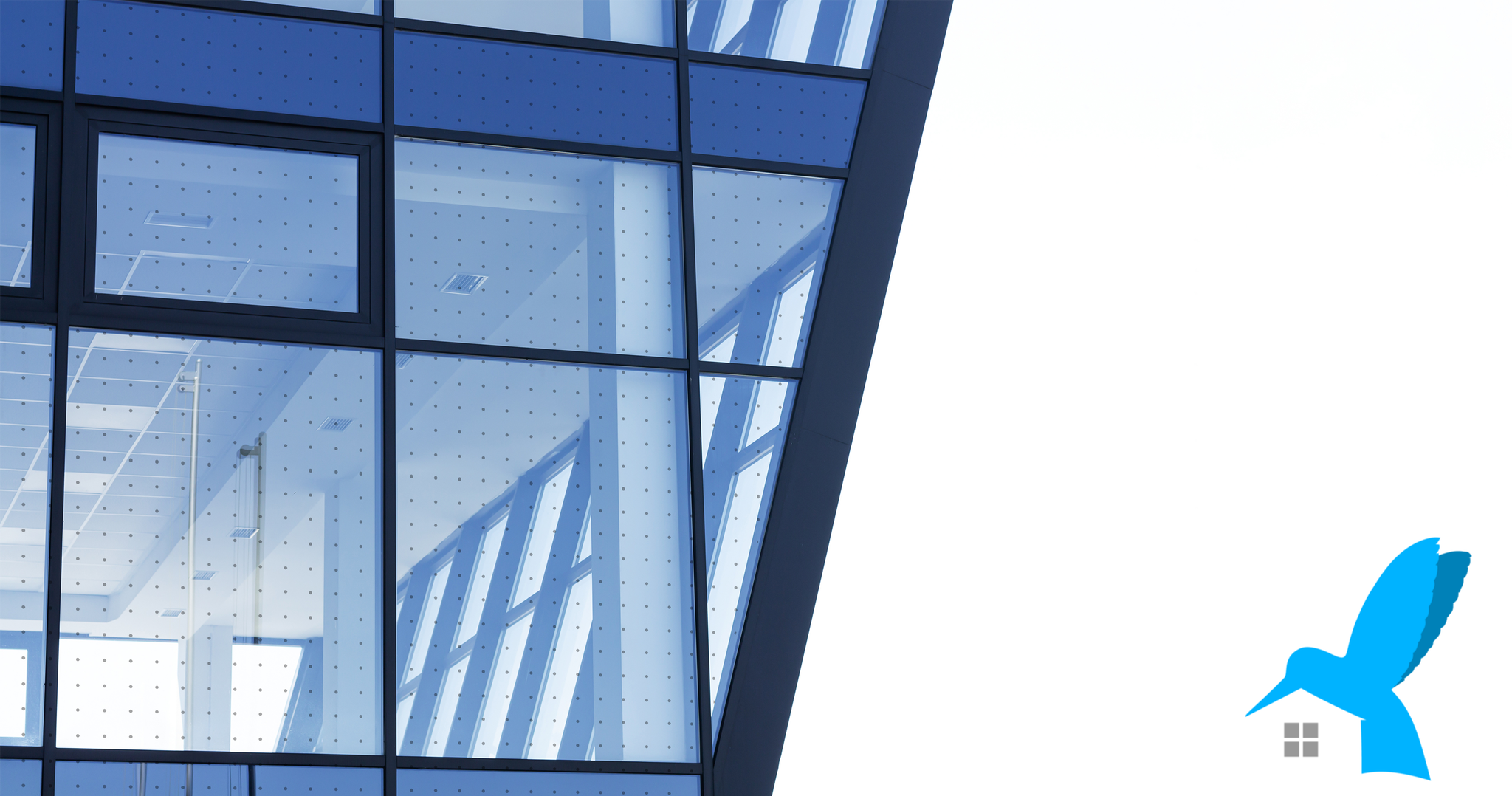 Window Strike Patterns Bird Strike Window Film - Stop birds from colliding into glass
