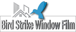 bird strike window film | Prevent birds from flying into windows with window film