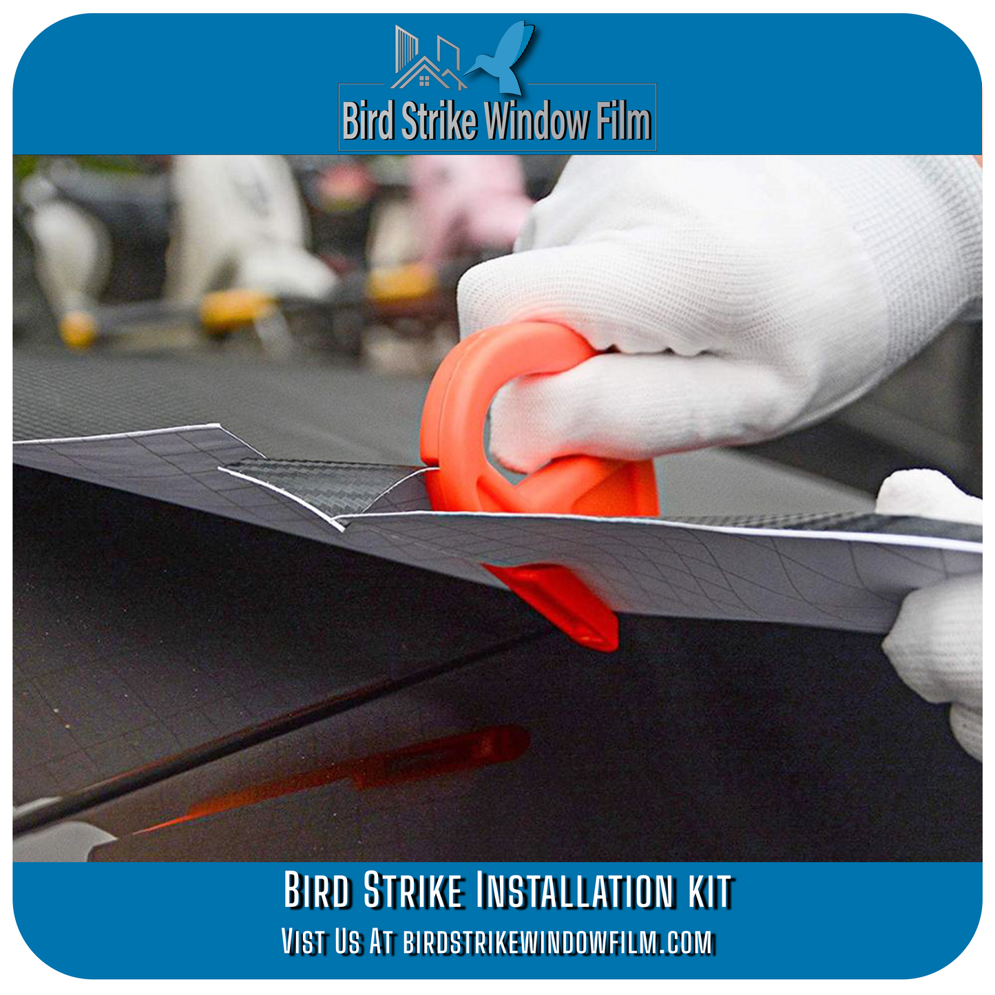 Bird Strike Window Film Install Kit