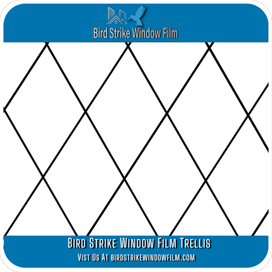Bird Strike Window Film Trellis